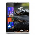 Дизайнерский пластиковый чехол для Microsoft Lumia 540 Змеи