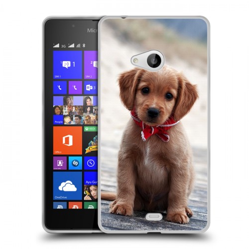 Дизайнерский пластиковый чехол для Microsoft Lumia 540 Щенки