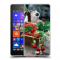 Дизайнерский пластиковый чехол для Microsoft Lumia 540 Клубника