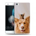 Дизайнерский пластиковый чехол для Huawei P8 Lite Собака и котенок