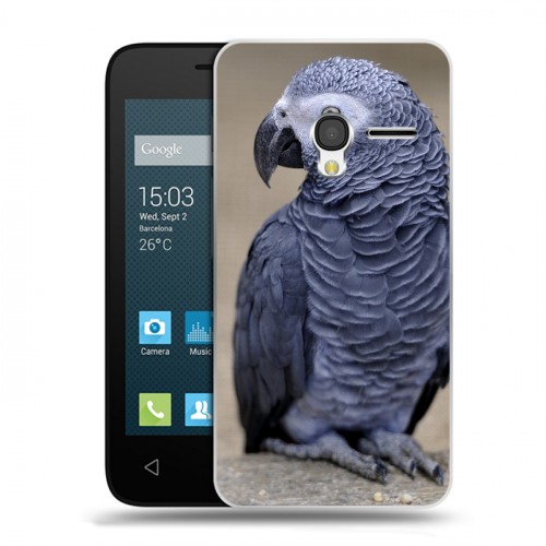 Дизайнерский пластиковый чехол для Alcatel One Touch Pixi 3 (4.5) Попугаи