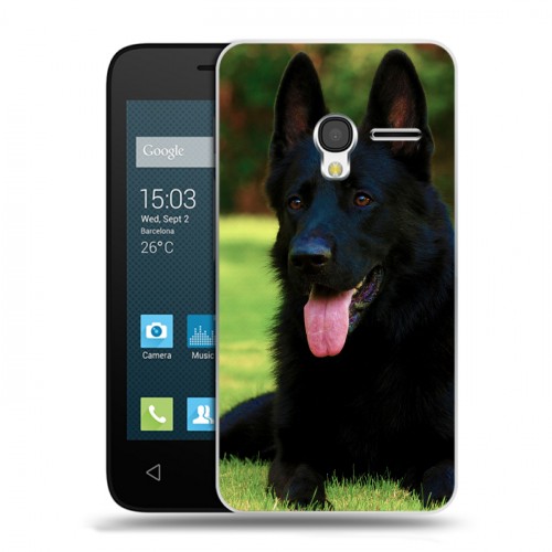 Дизайнерский пластиковый чехол для Alcatel One Touch Pixi 3 (4.5) Собаки