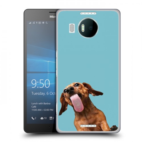Дизайнерский пластиковый чехол для Microsoft Lumia 950 XL Мятные звери