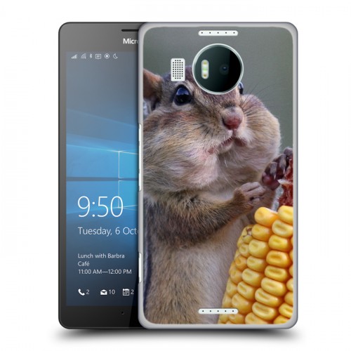 Дизайнерский пластиковый чехол для Microsoft Lumia 950 XL Грызуны