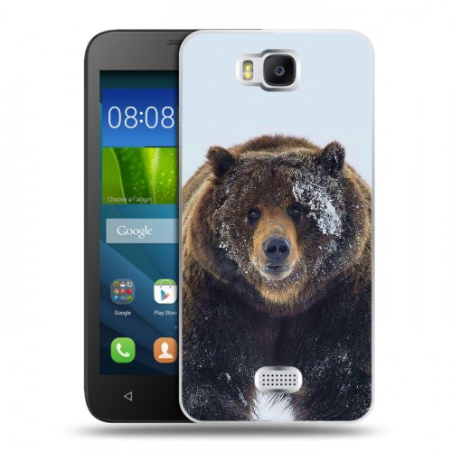Дизайнерский пластиковый чехол для Huawei Y5c Медведь