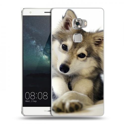 Дизайнерский пластиковый чехол для Huawei Mate S Собаки