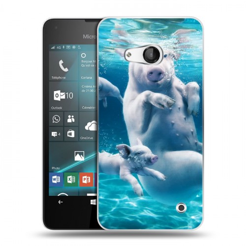 Дизайнерский пластиковый чехол для Microsoft Lumia 550 Свинки