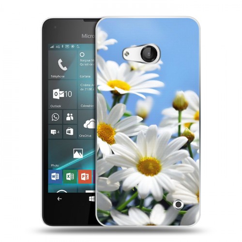 Дизайнерский пластиковый чехол для Microsoft Lumia 550 Ромашки