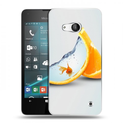 Дизайнерский пластиковый чехол для Microsoft Lumia 550 Апельсины