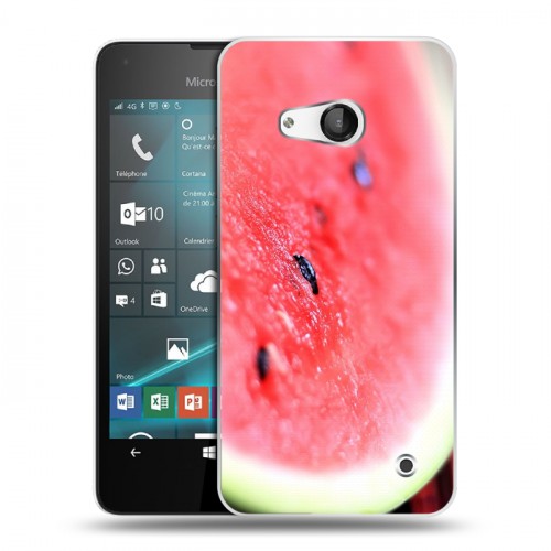 Дизайнерский пластиковый чехол для Microsoft Lumia 550 Арбузы