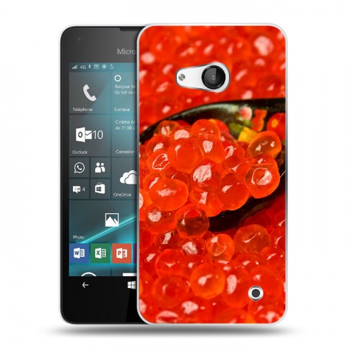 Дизайнерский пластиковый чехол для Microsoft Lumia 550 Икра