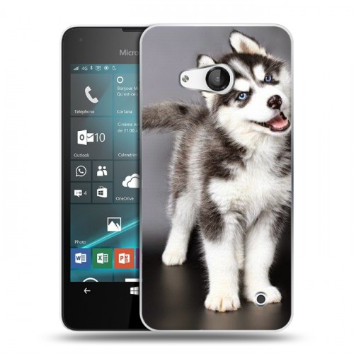 Дизайнерский пластиковый чехол для Microsoft Lumia 550 Щенки