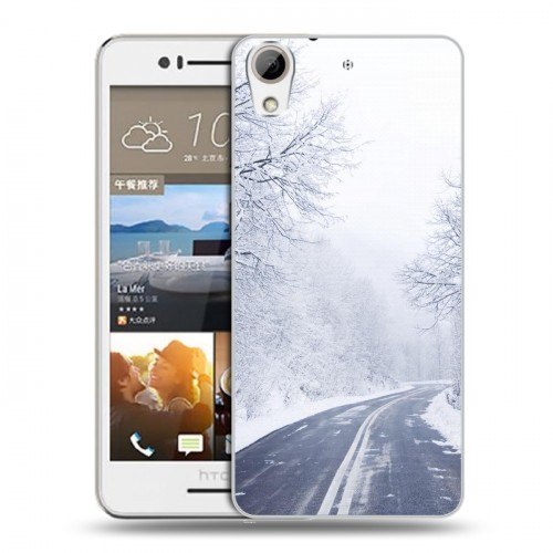 Дизайнерский пластиковый чехол для HTC Desire 728 зима
