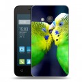 Дизайнерский силиконовый чехол для Alcatel One Touch Pixi 4 (4) Попугаи