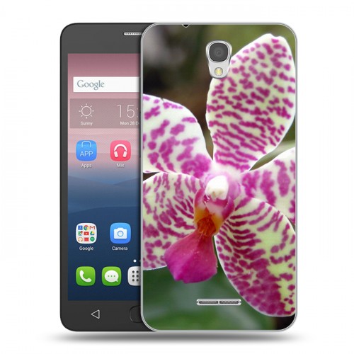 Дизайнерский силиконовый чехол для Alcatel Pop 4 Орхидеи