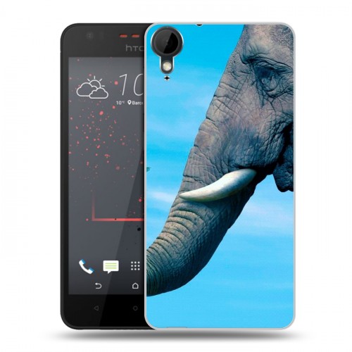 Дизайнерский пластиковый чехол для HTC Desire 825 Слоны