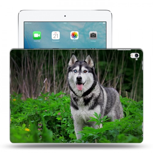 Дизайнерский пластиковый чехол для Ipad Pro 9.7 Собаки