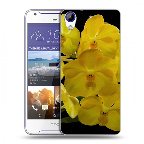 Дизайнерский пластиковый чехол для HTC Desire 830 Орхидеи