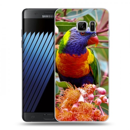 Дизайнерский пластиковый чехол для Samsung Galaxy Note 7 Попугаи