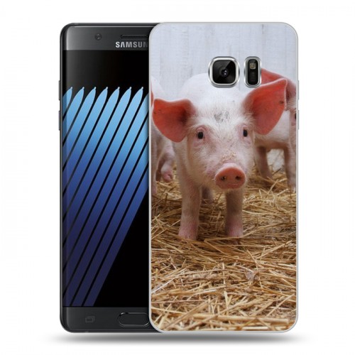 Дизайнерский пластиковый чехол для Samsung Galaxy Note 7 Свинки