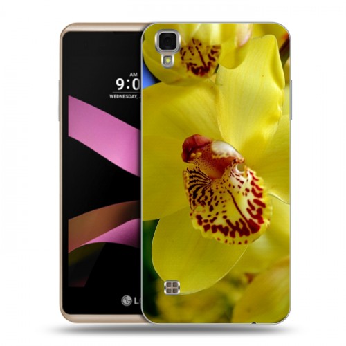 Дизайнерский пластиковый чехол для LG X Style Орхидеи