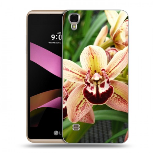 Дизайнерский пластиковый чехол для LG X Style Орхидеи