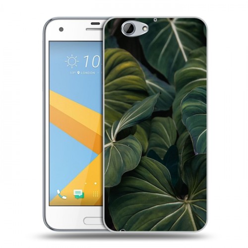 Дизайнерский пластиковый чехол для HTC One A9S Нуарные листья