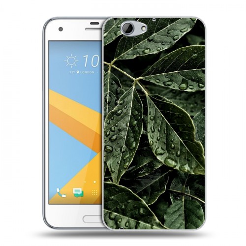 Дизайнерский пластиковый чехол для HTC One A9S Нуарные листья