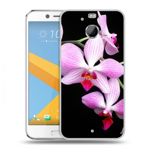 Дизайнерский пластиковый чехол для HTC 10 evo Орхидеи