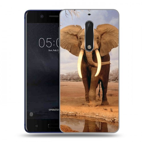 Дизайнерский пластиковый чехол для Nokia 5 Слоны
