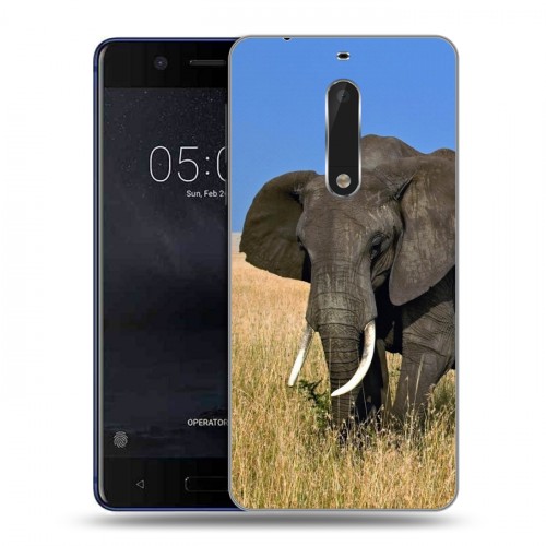 Дизайнерский пластиковый чехол для Nokia 5 Слоны