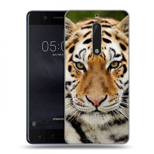Дизайнерский пластиковый чехол для Nokia 5 Тигры