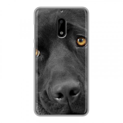 Дизайнерский пластиковый чехол для Nokia 6 Собаки