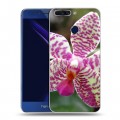 Дизайнерский пластиковый чехол для Huawei Honor 8 Pro Орхидеи