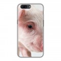 Дизайнерский пластиковый чехол для OnePlus 5 Свинки
