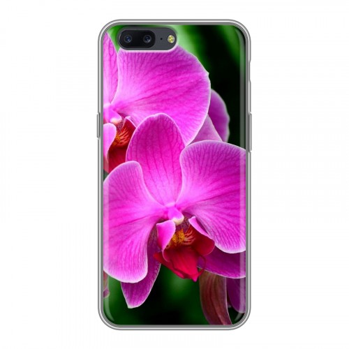 Дизайнерский пластиковый чехол для OnePlus 5 Орхидеи