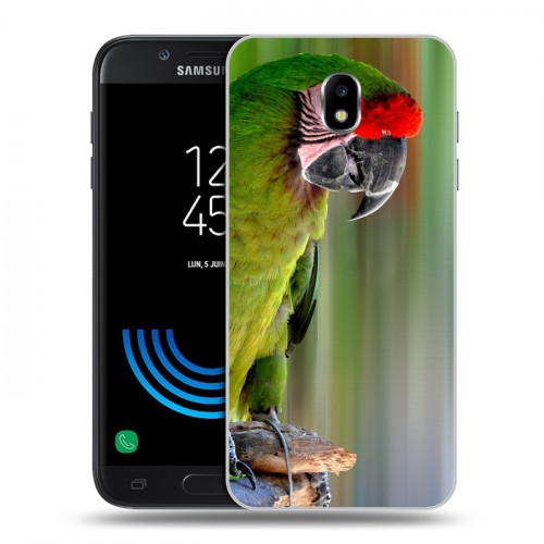 Дизайнерский пластиковый чехол для Samsung Galaxy J5 (2017) Попугаи