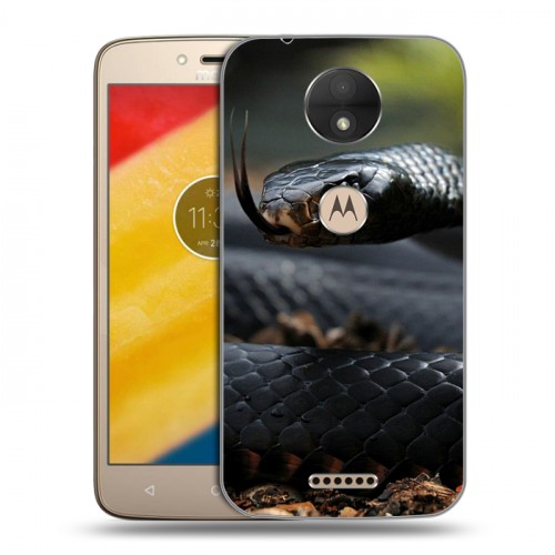 Дизайнерский пластиковый чехол для Motorola Moto C Змеи