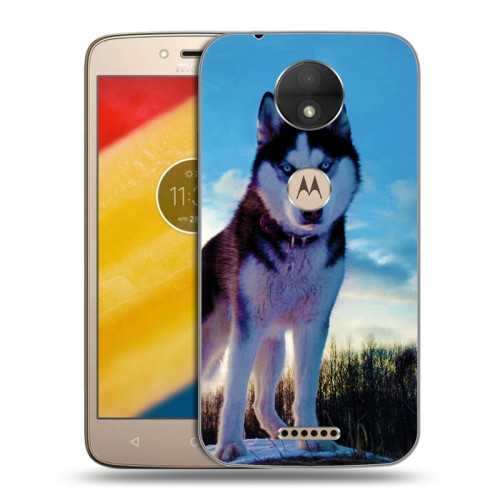 Дизайнерский силиконовый чехол для Motorola Moto C Собаки