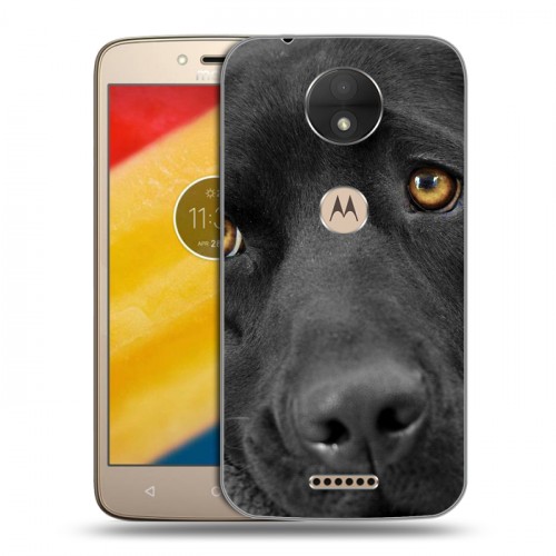 Дизайнерский пластиковый чехол для Motorola Moto C Собаки
