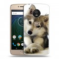 Дизайнерский силиконовый чехол для Motorola Moto G5s Собаки