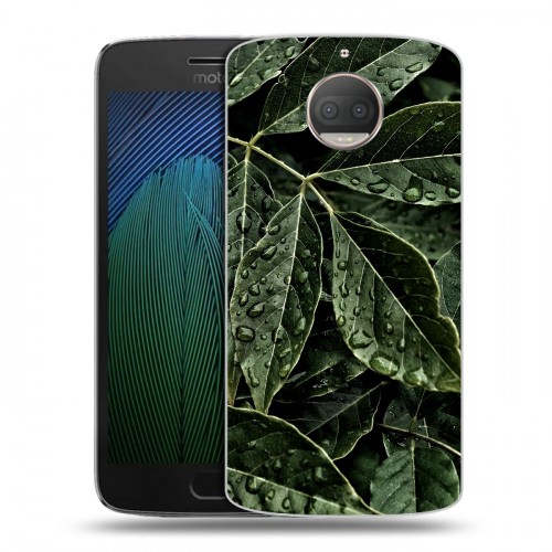 Дизайнерский пластиковый чехол для Motorola Moto G5s Plus Нуарные листья