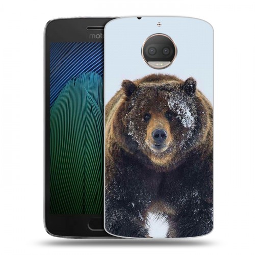Дизайнерский пластиковый чехол для Motorola Moto G5s Plus Медведь