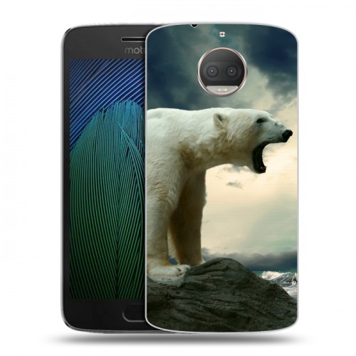 Дизайнерский пластиковый чехол для Motorola Moto G5s Plus Медведи