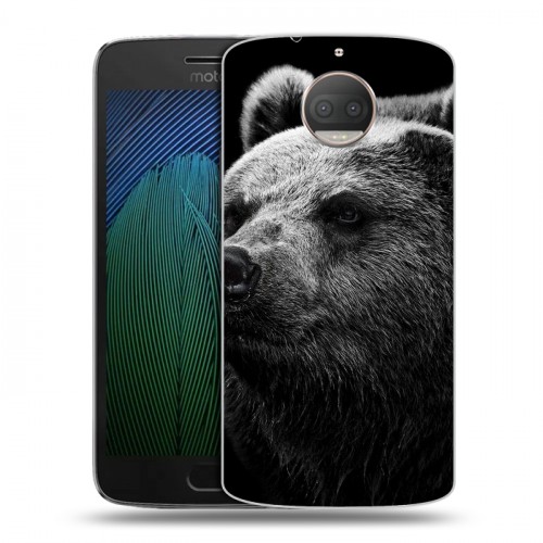 Дизайнерский пластиковый чехол для Motorola Moto G5s Plus Медведи