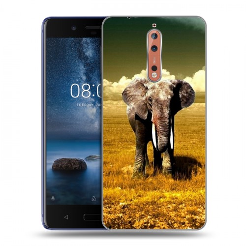 Дизайнерский пластиковый чехол для Nokia 8 Слоны