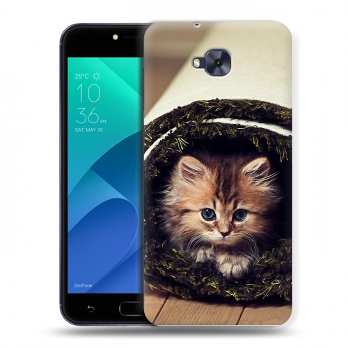 Дизайнерский пластиковый чехол для ASUS ZenFone 4 Selfie Кошки