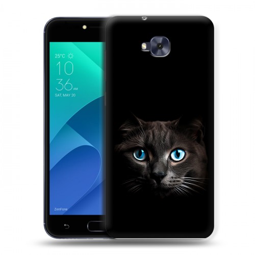 Дизайнерский пластиковый чехол для ASUS ZenFone 4 Selfie Кот в темноте
