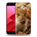 Дизайнерский пластиковый чехол для ASUS ZenFone 4 Selfie Pro Свинки