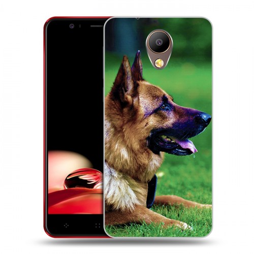 Дизайнерский пластиковый чехол для Elephone P8 Собаки